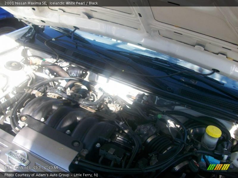 Icelandic White Pearl / Black 2001 Nissan Maxima SE