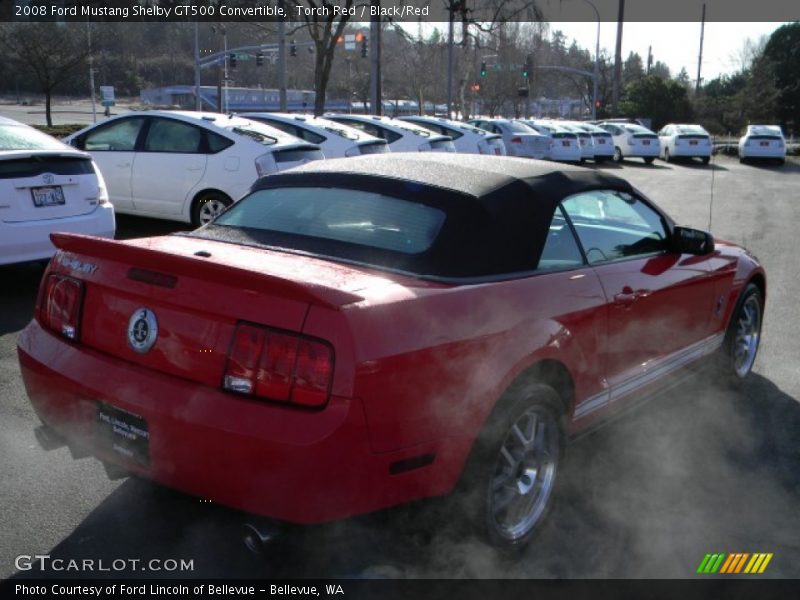 Torch Red / Black/Red 2008 Ford Mustang Shelby GT500 Convertible