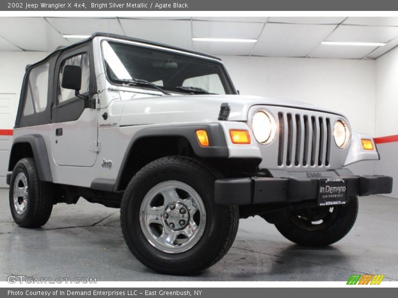 Bright Silver Metallic / Agate Black 2002 Jeep Wrangler X 4x4