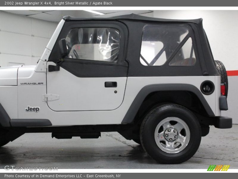 Bright Silver Metallic / Agate Black 2002 Jeep Wrangler X 4x4
