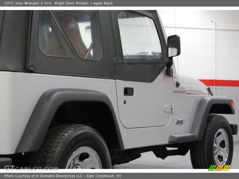 Bright Silver Metallic / Agate Black 2002 Jeep Wrangler X 4x4