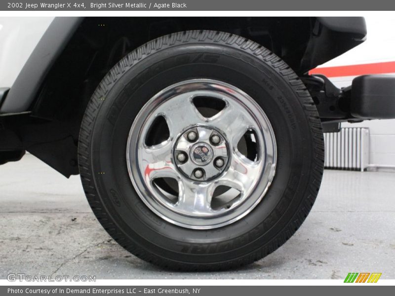 Bright Silver Metallic / Agate Black 2002 Jeep Wrangler X 4x4