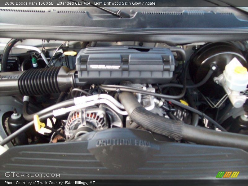 Light Driftwood Satin Glow / Agate 2000 Dodge Ram 1500 SLT Extended Cab 4x4