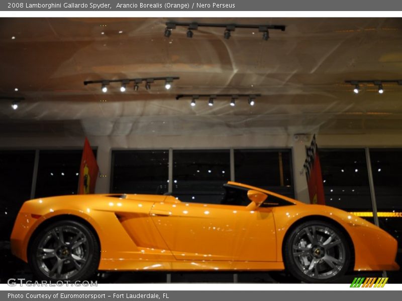 Arancio Borealis (Orange) / Nero Perseus 2008 Lamborghini Gallardo Spyder