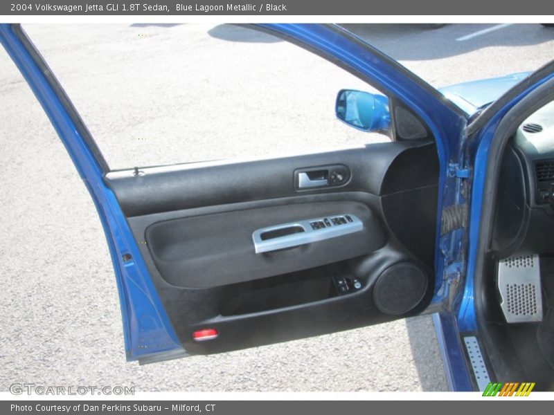 Door Panel of 2004 Jetta GLI 1.8T Sedan