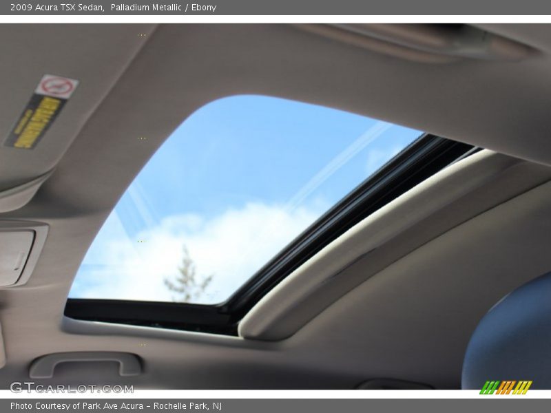 Palladium Metallic / Ebony 2009 Acura TSX Sedan