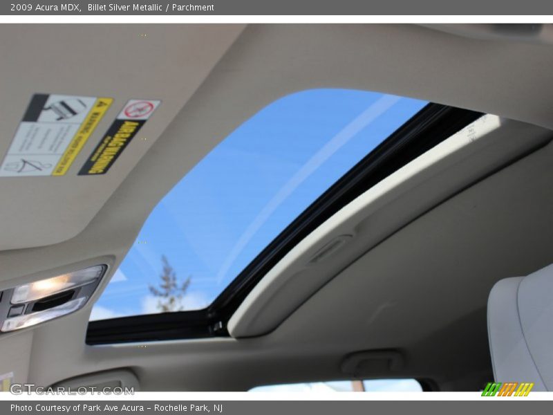 Billet Silver Metallic / Parchment 2009 Acura MDX