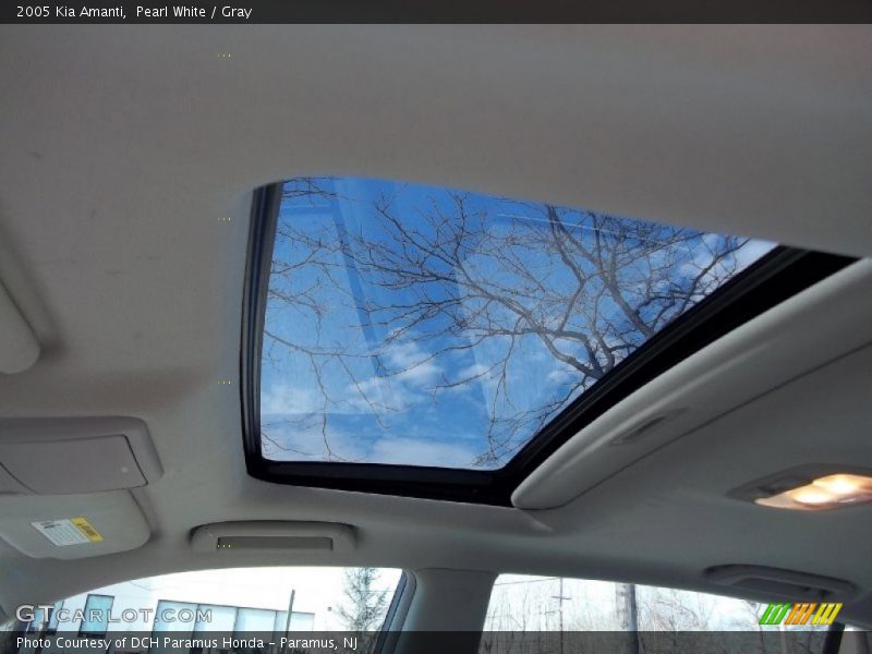 Pearl White / Gray 2005 Kia Amanti