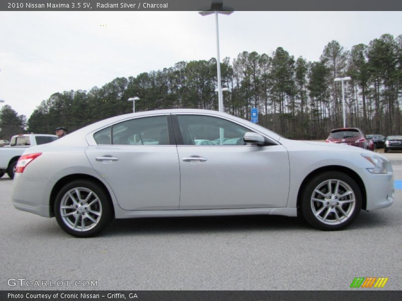 Radiant Silver / Charcoal 2010 Nissan Maxima 3.5 SV