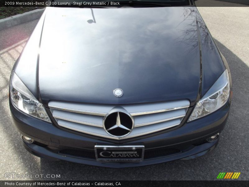 Steel Grey Metallic / Black 2009 Mercedes-Benz C 300 Luxury