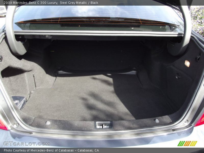 Steel Grey Metallic / Black 2009 Mercedes-Benz C 300 Luxury
