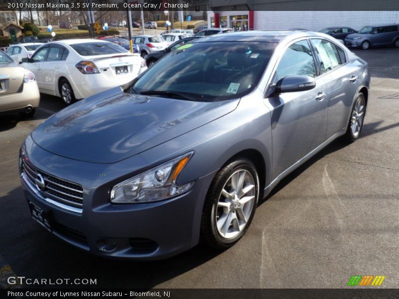 Ocean Gray / Charcoal 2010 Nissan Maxima 3.5 SV Premium