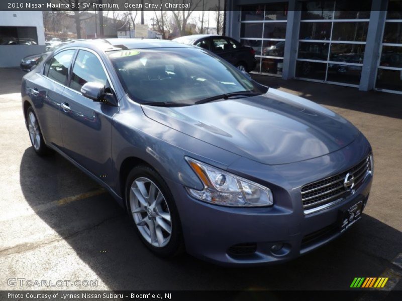 Ocean Gray / Charcoal 2010 Nissan Maxima 3.5 SV Premium