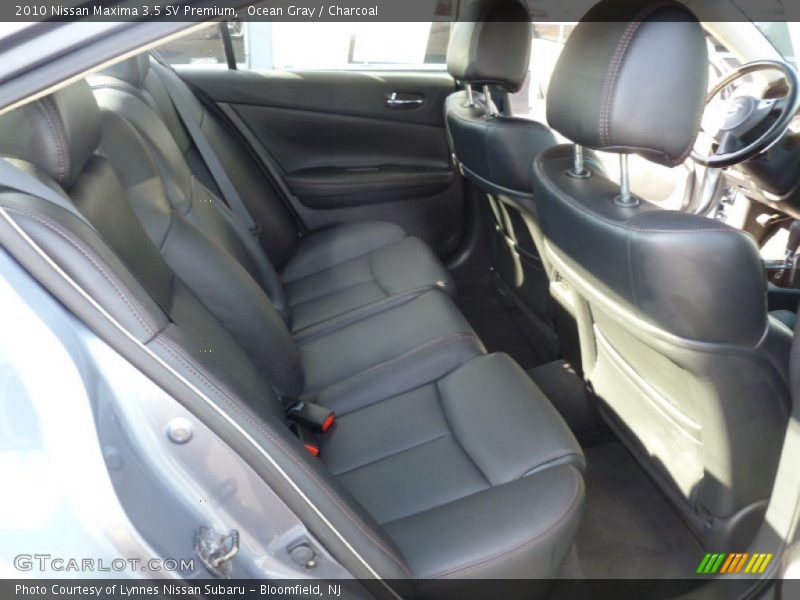 Ocean Gray / Charcoal 2010 Nissan Maxima 3.5 SV Premium