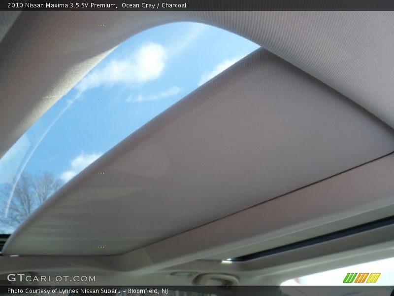 Ocean Gray / Charcoal 2010 Nissan Maxima 3.5 SV Premium