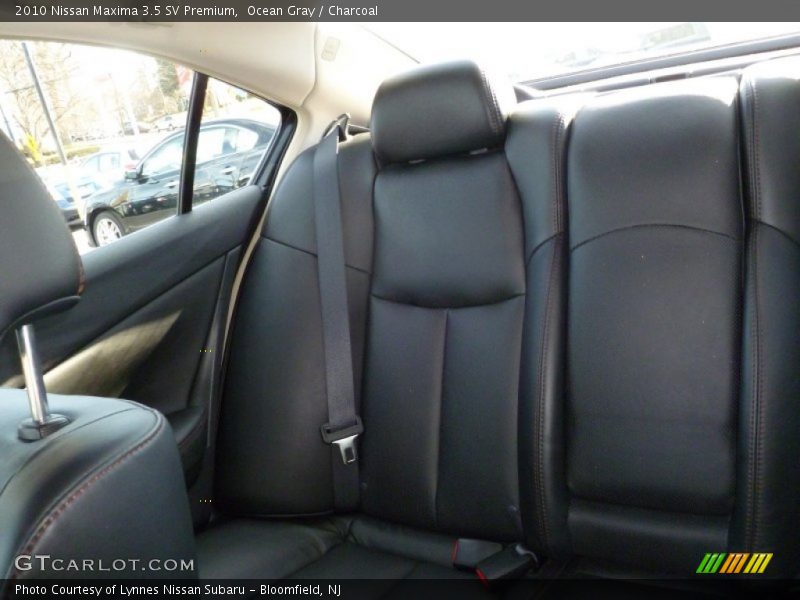 Ocean Gray / Charcoal 2010 Nissan Maxima 3.5 SV Premium