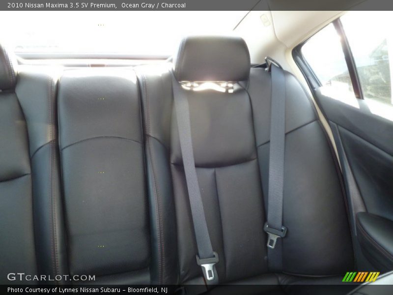 Ocean Gray / Charcoal 2010 Nissan Maxima 3.5 SV Premium