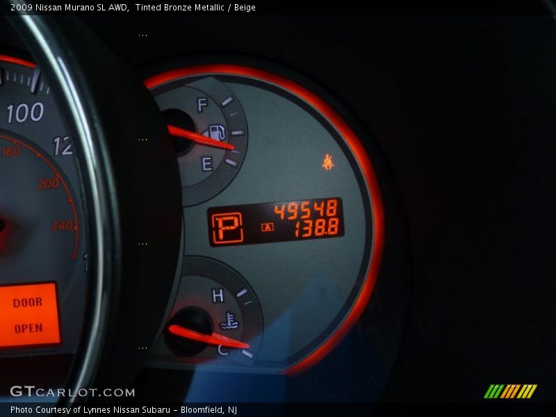 Tinted Bronze Metallic / Beige 2009 Nissan Murano SL AWD