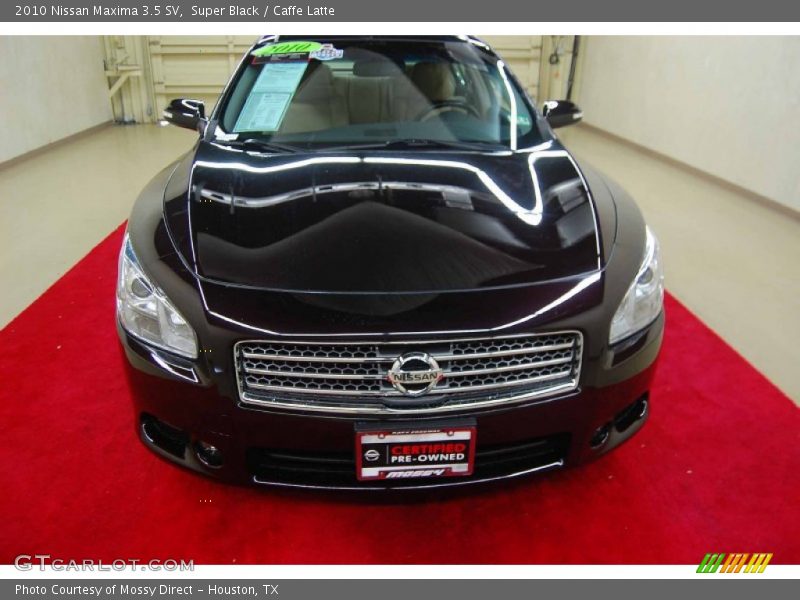 Super Black / Caffe Latte 2010 Nissan Maxima 3.5 SV