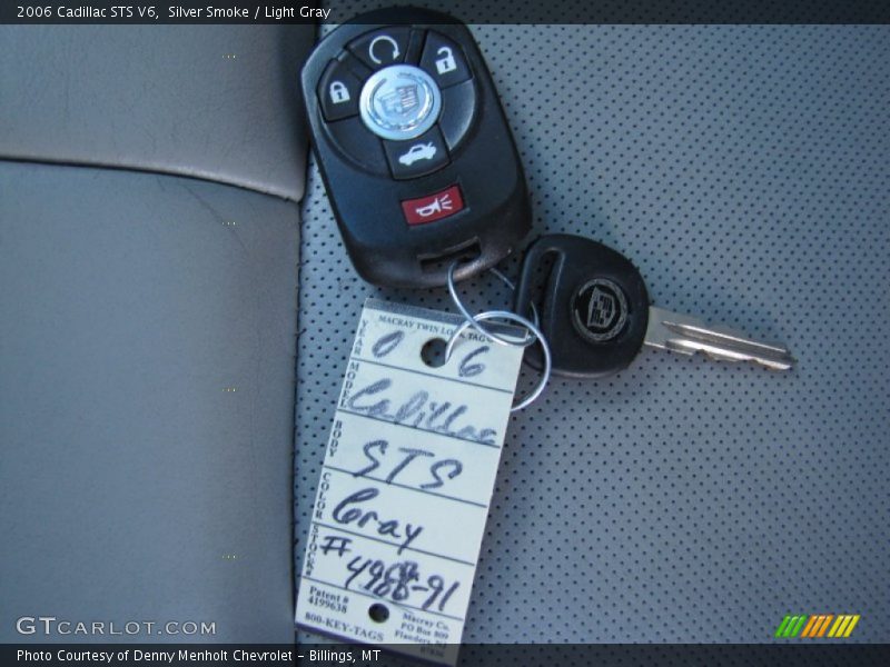 Silver Smoke / Light Gray 2006 Cadillac STS V6