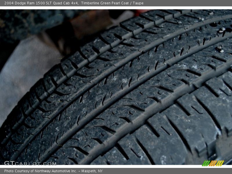 Timberline Green Pearl Coat / Taupe 2004 Dodge Ram 1500 SLT Quad Cab 4x4