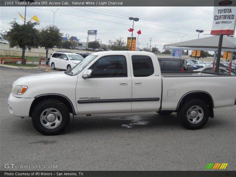 Natural White / Light Charcoal 2003 Toyota Tundra SR5 Access Cab