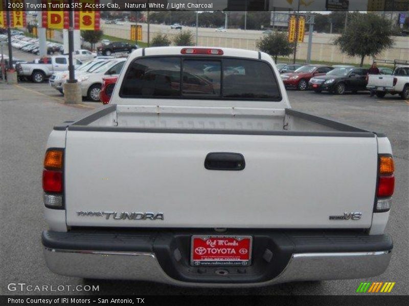 Natural White / Light Charcoal 2003 Toyota Tundra SR5 Access Cab