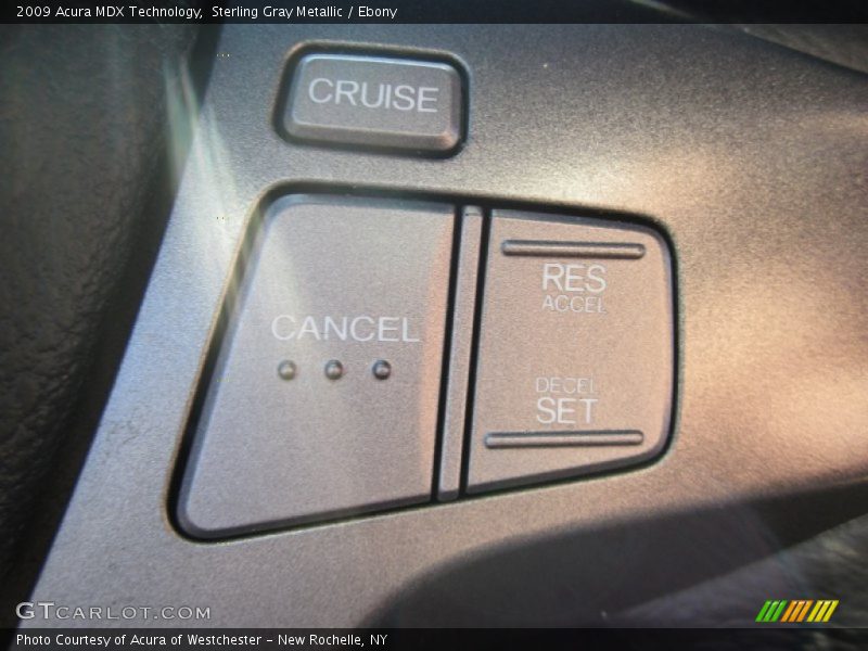 Sterling Gray Metallic / Ebony 2009 Acura MDX Technology