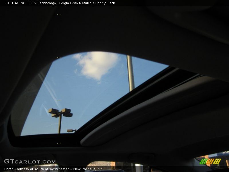 Grigio Gray Metallic / Ebony Black 2011 Acura TL 3.5 Technology