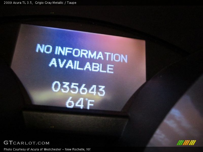 Grigio Gray Metallic / Taupe 2009 Acura TL 3.5