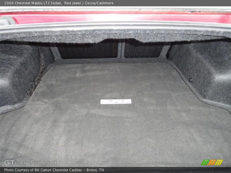 Red Jewel / Cocoa/Cashmere 2009 Chevrolet Malibu LTZ Sedan