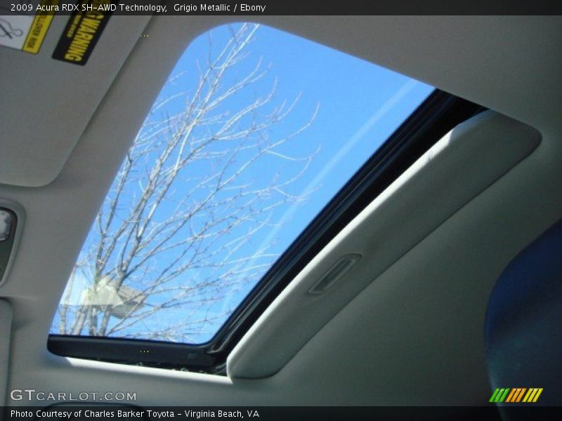 Grigio Metallic / Ebony 2009 Acura RDX SH-AWD Technology