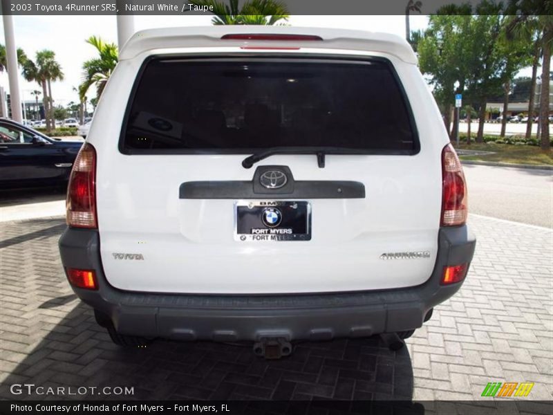 Natural White / Taupe 2003 Toyota 4Runner SR5