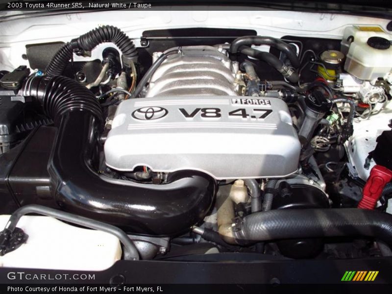Natural White / Taupe 2003 Toyota 4Runner SR5