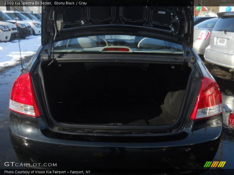 Ebony Black / Gray 2009 Kia Spectra EX Sedan