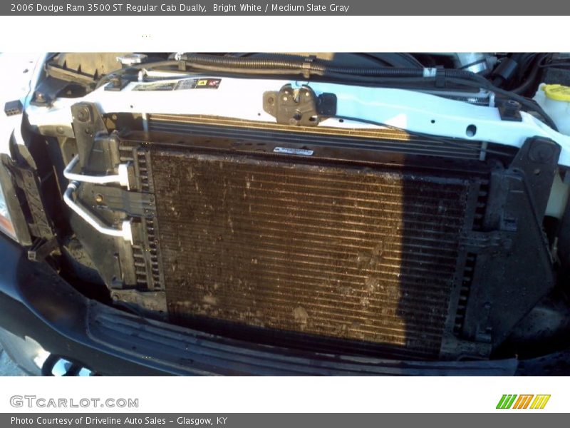 Bright White / Medium Slate Gray 2006 Dodge Ram 3500 ST Regular Cab Dually