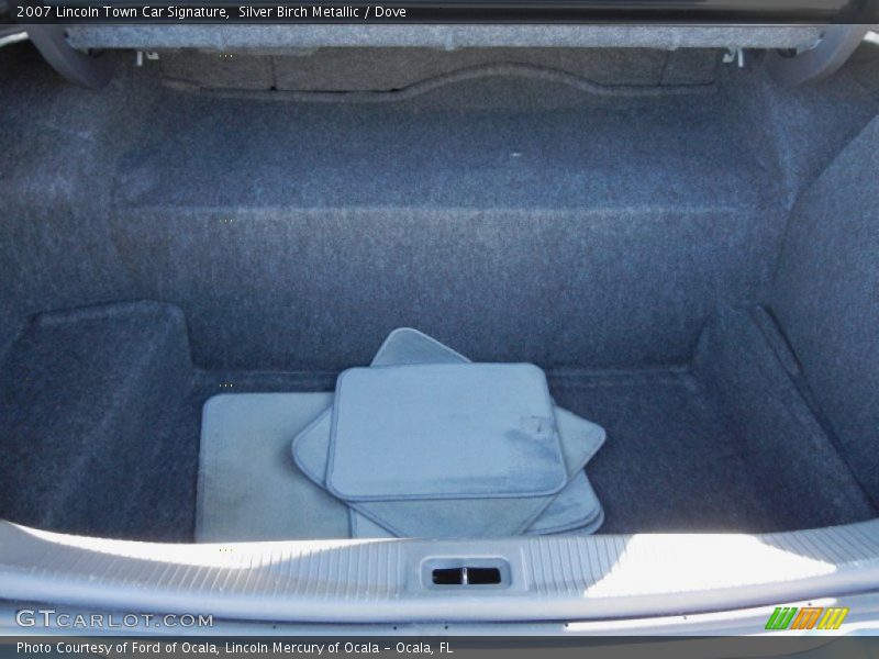 Silver Birch Metallic / Dove 2007 Lincoln Town Car Signature