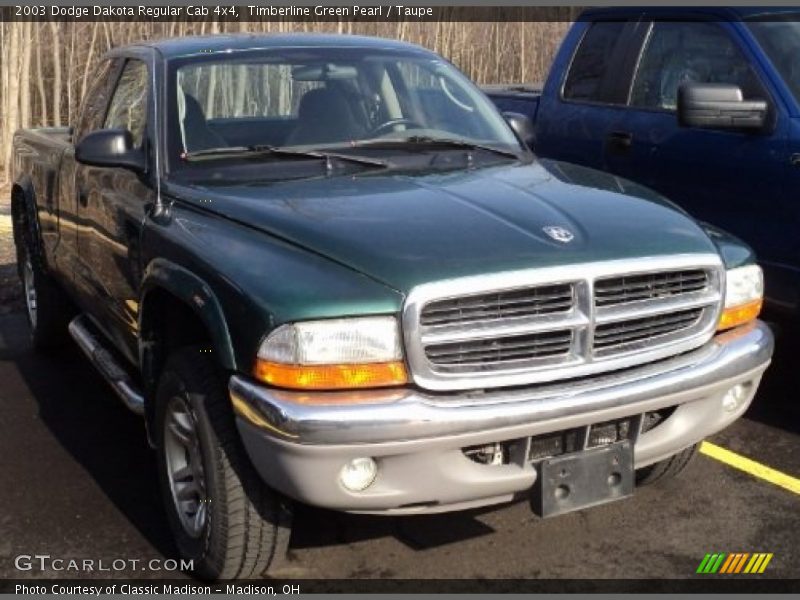 Timberline Green Pearl / Taupe 2003 Dodge Dakota Regular Cab 4x4