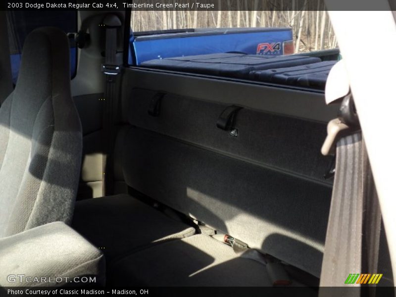 Timberline Green Pearl / Taupe 2003 Dodge Dakota Regular Cab 4x4