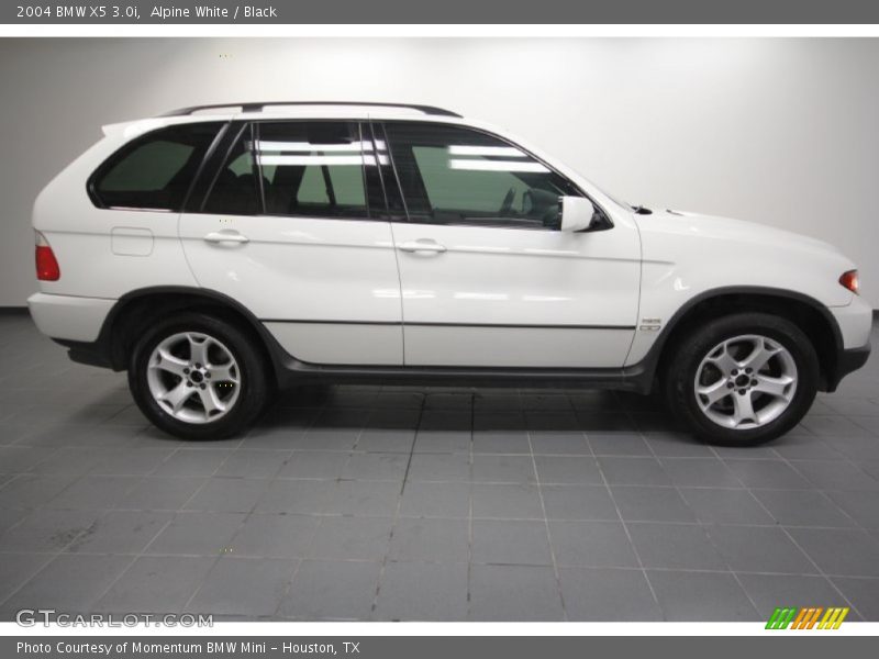 Alpine White / Black 2004 BMW X5 3.0i