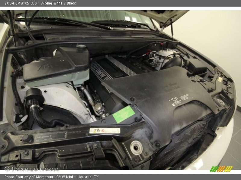 Alpine White / Black 2004 BMW X5 3.0i