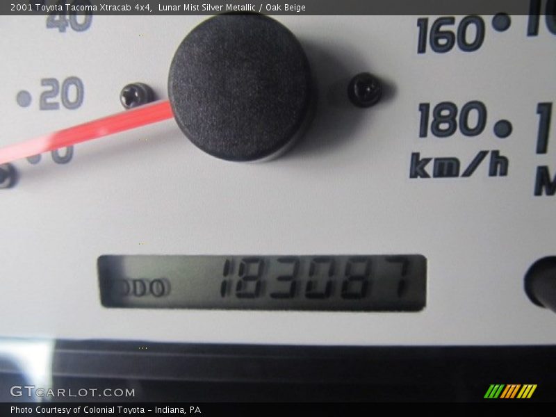 Lunar Mist Silver Metallic / Oak Beige 2001 Toyota Tacoma Xtracab 4x4