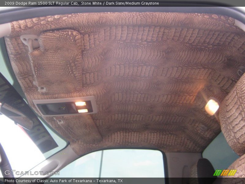 Stone White / Dark Slate/Medium Graystone 2009 Dodge Ram 1500 SLT Regular Cab