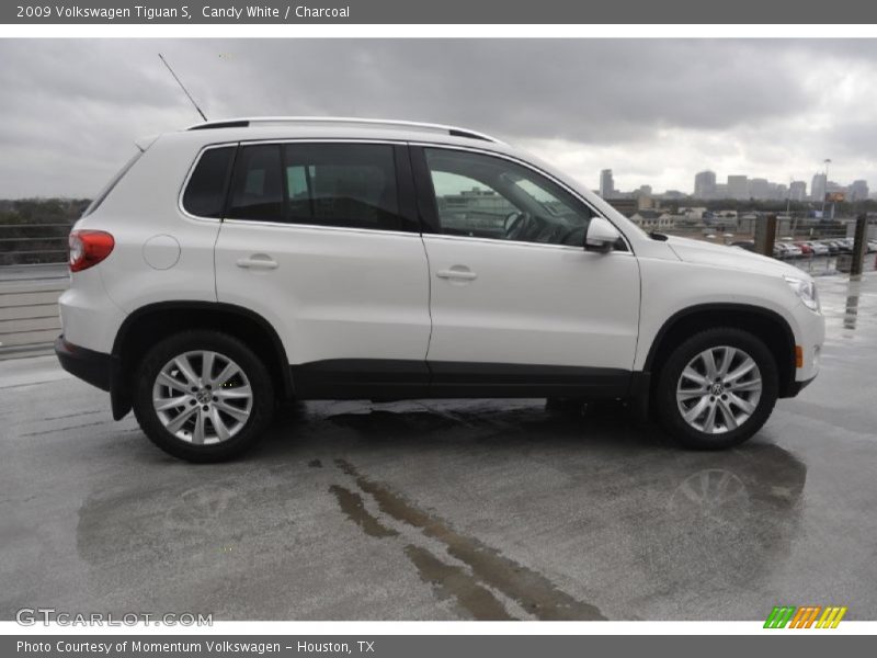 Candy White / Charcoal 2009 Volkswagen Tiguan S