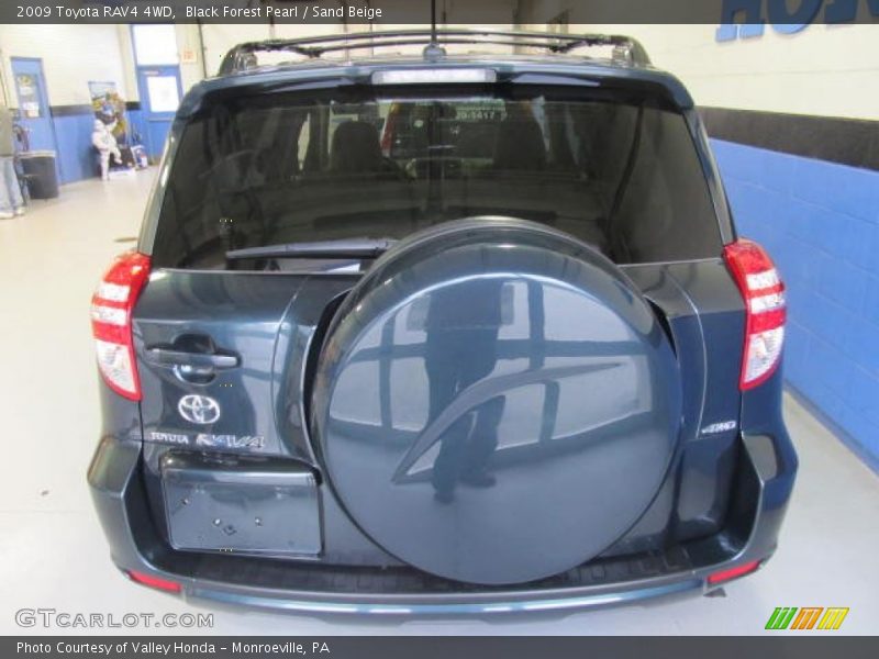 Black Forest Pearl / Sand Beige 2009 Toyota RAV4 4WD