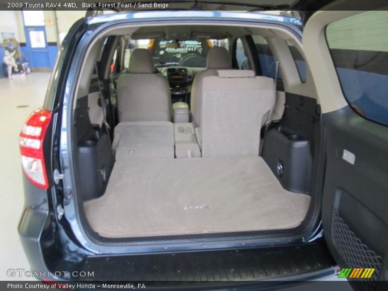 Black Forest Pearl / Sand Beige 2009 Toyota RAV4 4WD