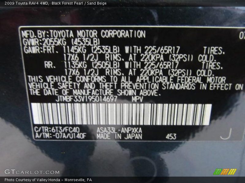 Black Forest Pearl / Sand Beige 2009 Toyota RAV4 4WD