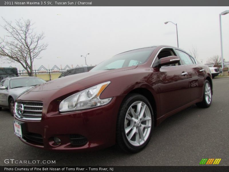 Tuscan Sun / Charcoal 2011 Nissan Maxima 3.5 SV
