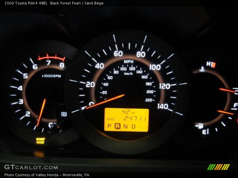 Black Forest Pearl / Sand Beige 2009 Toyota RAV4 4WD