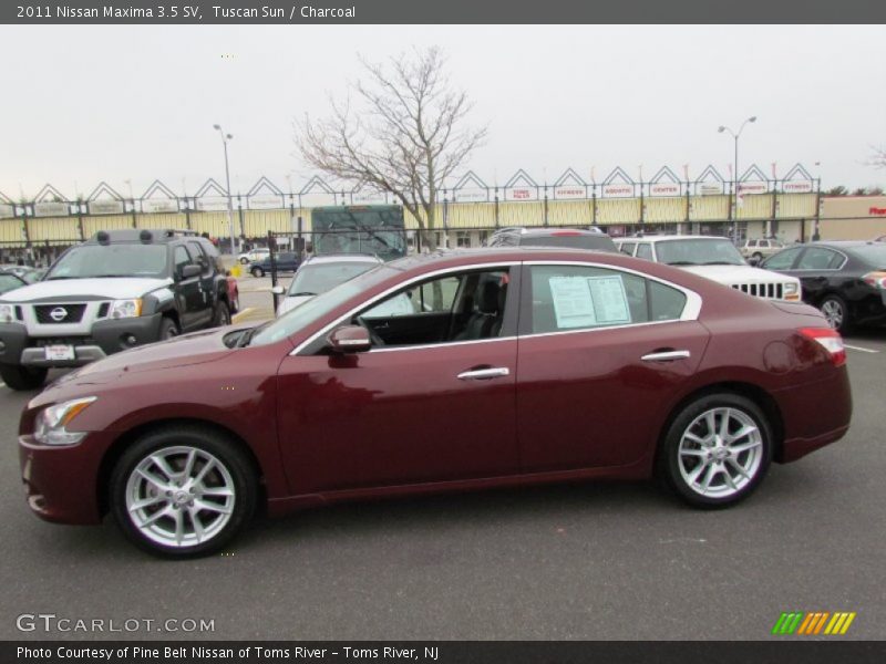 Tuscan Sun / Charcoal 2011 Nissan Maxima 3.5 SV